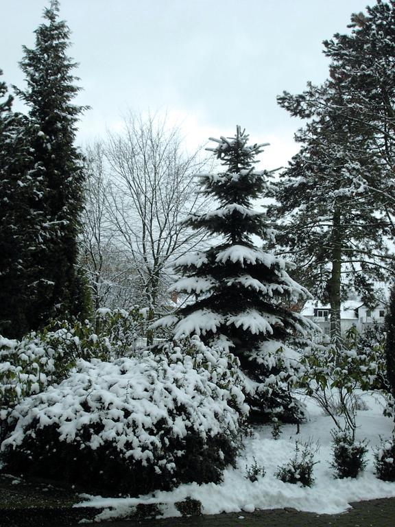Hotel Villa Luise Bad Rothenfelde Zewnętrze zdjęcie